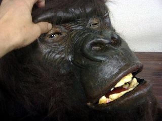 ゴリラ の瞼や口は開く