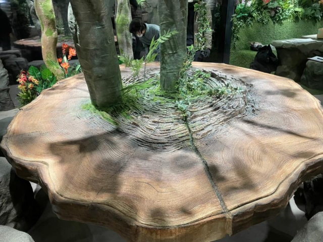 森のテーブル 3枚目
